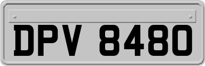 DPV8480
