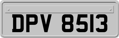 DPV8513