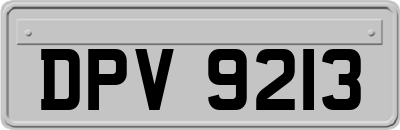 DPV9213