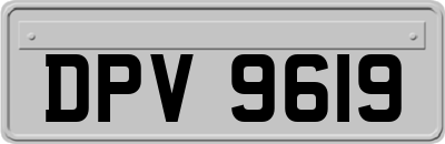 DPV9619