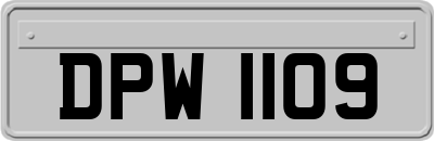 DPW1109