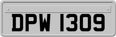 DPW1309