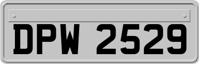 DPW2529