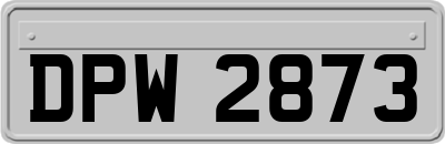 DPW2873