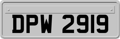 DPW2919