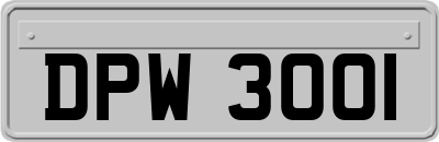 DPW3001