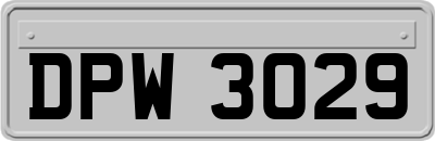 DPW3029