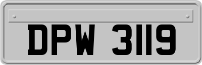 DPW3119