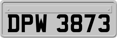 DPW3873