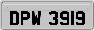 DPW3919