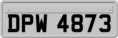 DPW4873