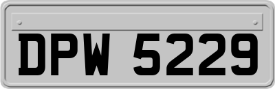 DPW5229