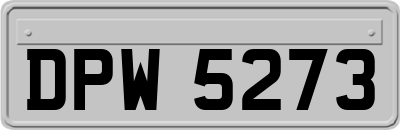 DPW5273