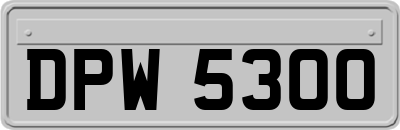DPW5300