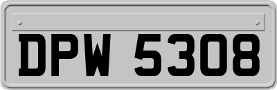 DPW5308