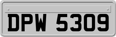 DPW5309