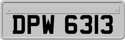 DPW6313