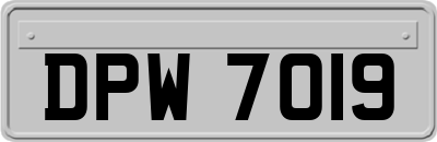 DPW7019