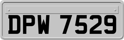 DPW7529