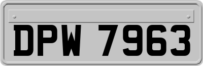 DPW7963