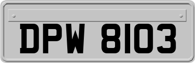 DPW8103
