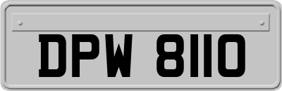 DPW8110