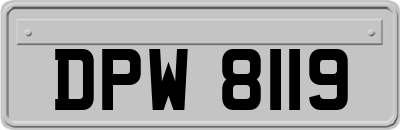 DPW8119