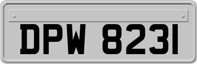 DPW8231