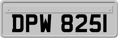 DPW8251