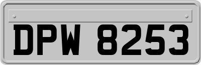 DPW8253