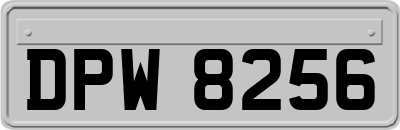 DPW8256
