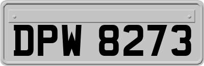 DPW8273