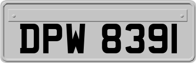 DPW8391