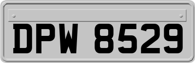 DPW8529