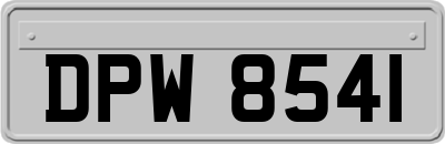 DPW8541