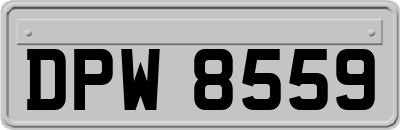 DPW8559