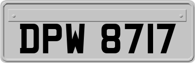 DPW8717