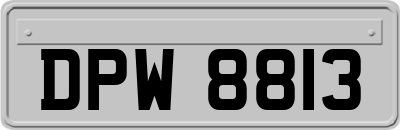 DPW8813