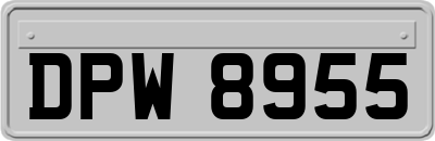 DPW8955