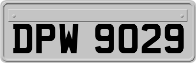 DPW9029