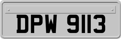 DPW9113