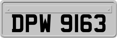 DPW9163