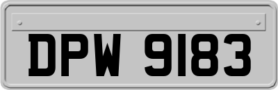 DPW9183