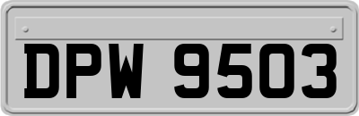 DPW9503