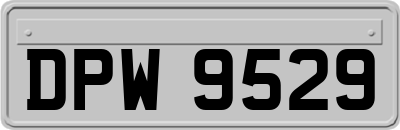 DPW9529