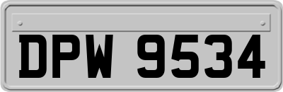 DPW9534