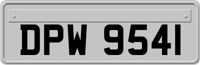 DPW9541