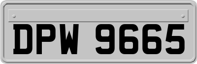 DPW9665