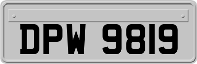 DPW9819