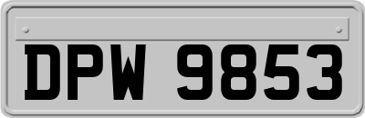 DPW9853